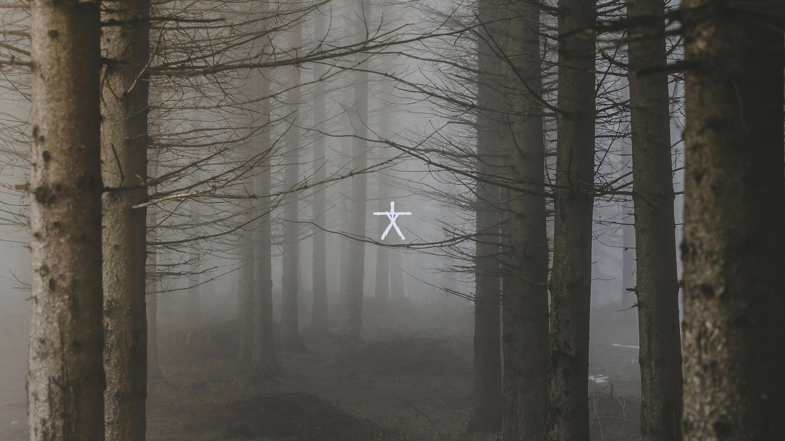 The Blair Witch Project wallpaper preview