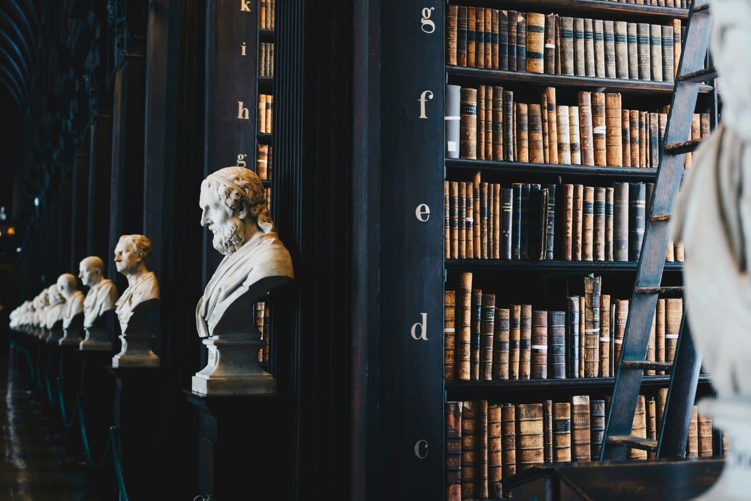 Library shelves lined with old books and marble busts.